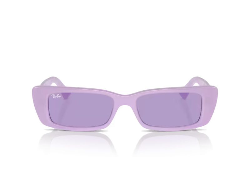 Ray-Ban Teru Sonnenbrille RB 4425 67581A