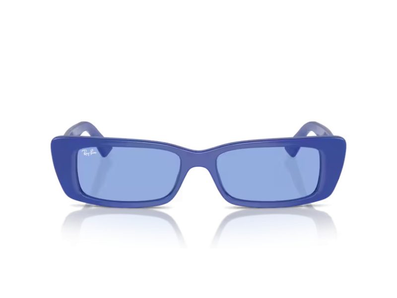 Ray-Ban Teru Sonnenbrille RB 4425 676180