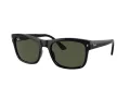 Ray-Ban Sonnenbrille RB 0RB4428 601/31