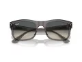 Ray-Ban Sonnenbrille RB 0RB4428 667571