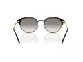 Ray-Ban Sonnenbrille RB 0RB4429 672332