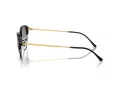 Ray-Ban Sonnenbrille RB 0RB4429 672332