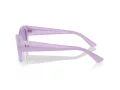 Ray-Ban Zena Sonnenbrille RB 4430 67581A