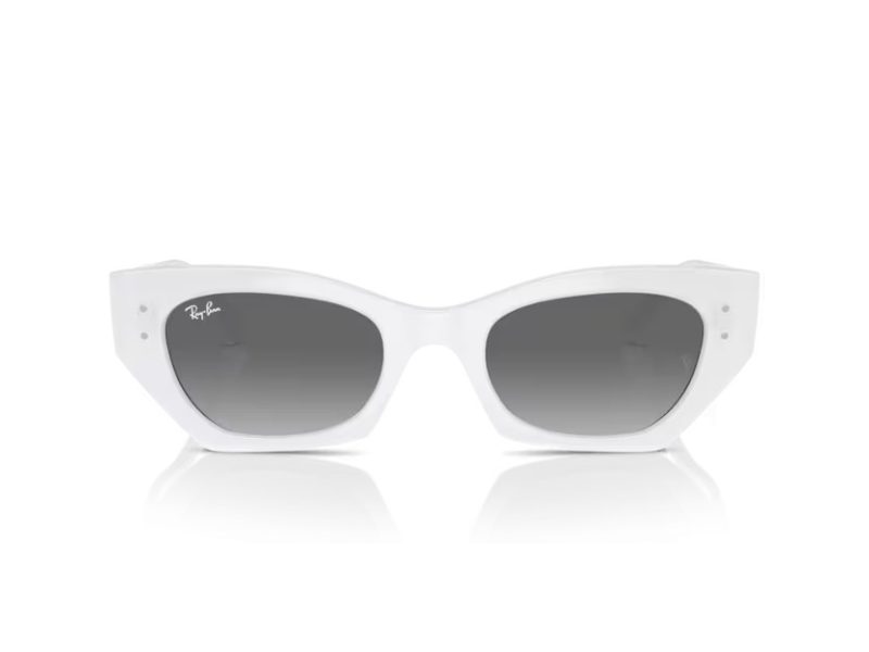 Ray-Ban Zena Sonnenbrille RB 4430 675911
