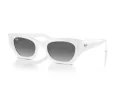Ray-Ban Zena Sonnenbrille RB 4430 675911