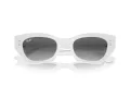 Ray-Ban Zena Sonnenbrille RB 4430 675911
