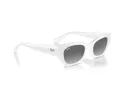 Ray-Ban Zena Sonnenbrille RB 4430 675911