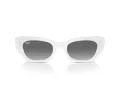 Ray-Ban Zena Sonnenbrille RB 4430 675911