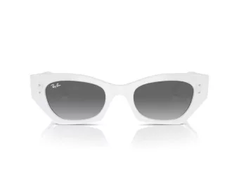 Ray-Ban Zena Sonnenbrille RB 4430 675911