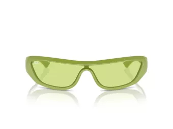 Ray-Ban Xan Sonnenbrille RB 4431 6763/2