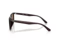 Ray-Ban Sonnenbrille RB 4439D 623173