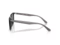 Ray-Ban Sonnenbrille RB 4439D 667587