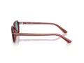 Ray-Ban Zuri Sonnenbrille RB 4455 680980