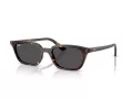 Ray-Ban Zaya Sonnenbrille RB 4456 135987