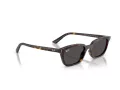 Ray-Ban Zaya Sonnenbrille RB 4456 135987