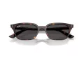 Ray-Ban Zaya Sonnenbrille RB 4456 135987