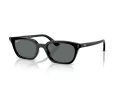 Ray-Ban Zaya Sonnenbrille RB 4456 667781