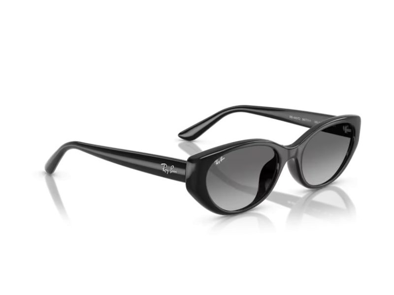 Ray-Ban Sonnenbrille RB 4457D 667711