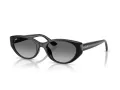Ray-Ban Sonnenbrille RB 4457D 667711