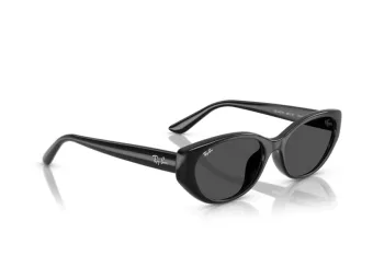 Ray-Ban Sonnenbrille RB 4457D 667787