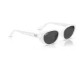 Ray-Ban Sonnenbrille RB 4457D 677287