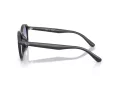 Ray-Ban Sonnenbrille RB 4459D 623019