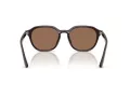 Ray-Ban Sonnenbrille RB 4459D 623173