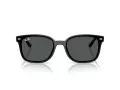 Ray-Ban Sonnenbrille RB 4461D 601/87