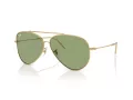 Ray-Ban Aviator Reverse Sonnenbrille RB R0101S 001/82