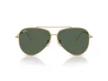 Ray-Ban Aviator Reverse Sonnenbrille RB 0RBR0101S 001/VR