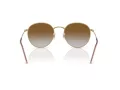 Ray-Ban Round Reverse Sonnenbrille RB R0103S 001/CB