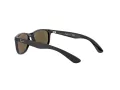 Ray-Ban Sonnenbrille RJ 9062S 7013/55