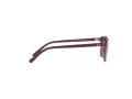 Ray-Ban Leonard Jr Sonnenbrille RJ 9093S 7112/80