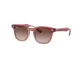 Ray-Ban Sonnenbrille RJ 9098S 715413