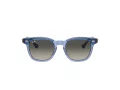 Ray-Ban Sonnenbrille RJ 9098S 715911