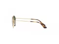 Ray-Ban Junior Rob Sonnenbrille RJ 9572S 223/71