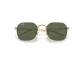 Ray-Ban Sonnenbrille RJ 9594S 223/71
