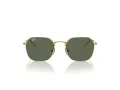 Ray-Ban Sonnenbrille RJ 9594S 223/71