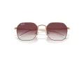 Ray-Ban Sonnenbrille RJ 9594S 291/8H