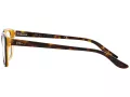 Ralph Lauren Brillen RL 6062 5277