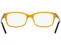 Ralph Lauren Brillen RL 6062 5277