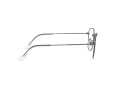 Ray-Ban Frank Brillen RX 3857V 2502