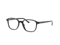 Ray-Ban Leonard Brillen RX 5393 2000
