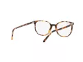 Ray-Ban Elliot Brillen RX 5397 8173