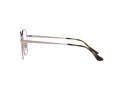Ray-Ban Brillen RX 6490D 2943