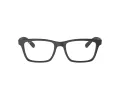 Ray-Ban Brillen RX 7025 2077