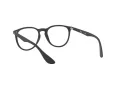 Ray-Ban Erika Brillen 7046 5364