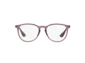 Ray-Ban Erika Brillen RX 7046 8139
