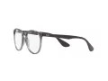 Ray-Ban Erika Brillen RX 7046 8140