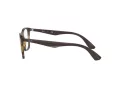 Ray-Ban Brillen 7066 5577